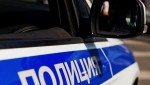 Два новоуральца осуждены за оскорбления свердловских полицейских в Интернете